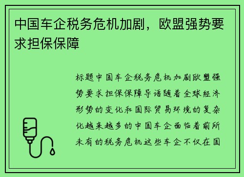 中国车企税务危机加剧，欧盟强势要求担保保障